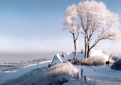 ahrenshoop winter1 ahrenshoop winter1