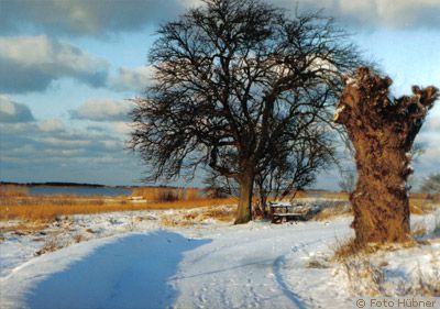 ahrenshoop winter2 ahrenshoop winter2
