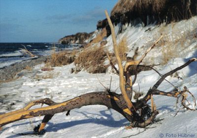 weststrand winter1 weststrand winter1